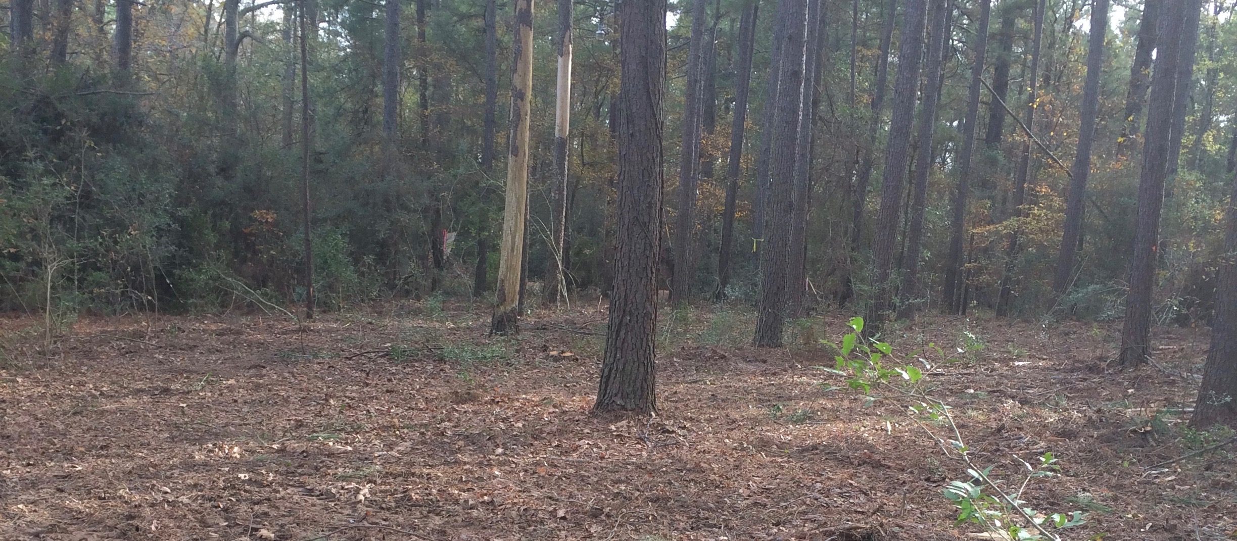 Ropes Course Update